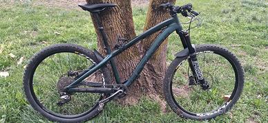 MTB Enduro Hornet Hard Tail taglia M Dartmoor