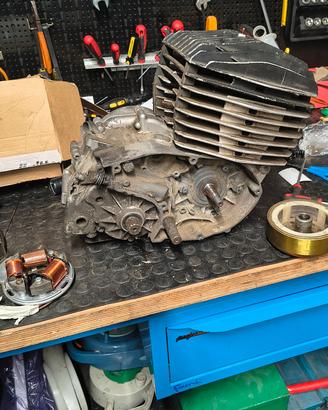 motore fantic motor  trial professional 125