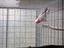 Immagine 4