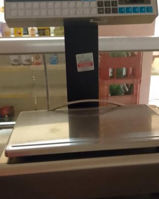 bilancia elettronica professionale 