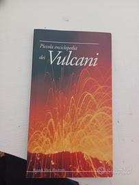 Enciclopedia dei vulcani 