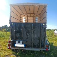 Van trasporto cavalli