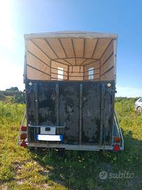 Van trasporto cavalli