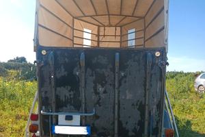 Van trasporto cavalli