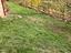 Immagine 19