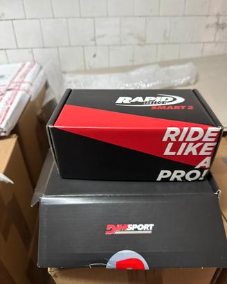 Rapid Bike Honda Hornet 1000