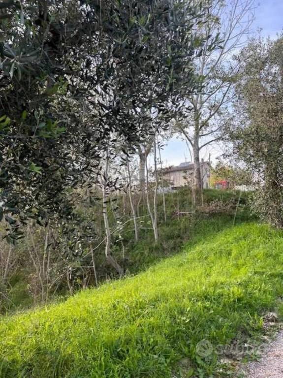 Immobile in asta di 5489 m² a Terre Roveresche - Vista 3