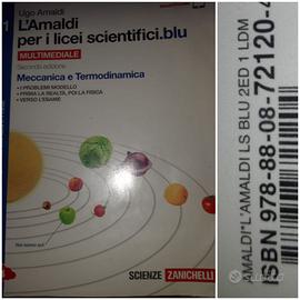 L'AMALDI PER ICEI SCIENTIFICI BLU