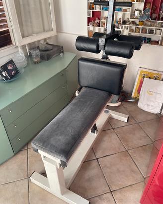 Panca professionale Magnum addominali e lombari