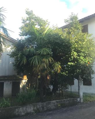 Zona centralissima: rustico indipendente con sc...