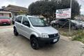 Fiat Panda 1.3 MJT 4x4 Van Active Trekking 2 posti