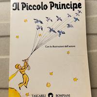 Libro: Il piccolo principe