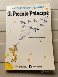 Libro: Il piccolo principe