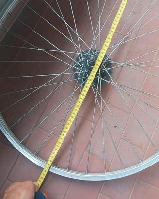 cerchio bici passeggio