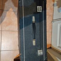 fisarmonica excelsior