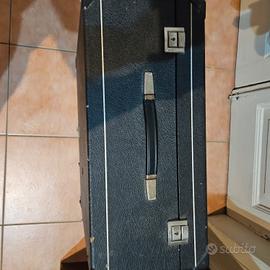 fisarmonica excelsior