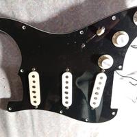 Pick up Lindy Fralin Blues Special 