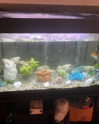 Acquario grandi dimensioni