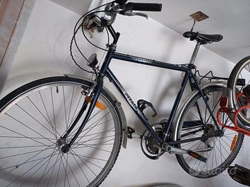 Bici uomo e donna da passeggio 