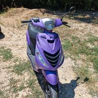 Zip SP