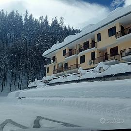 Monolocale argentera