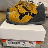 Sarpe Biomecanics numero 21