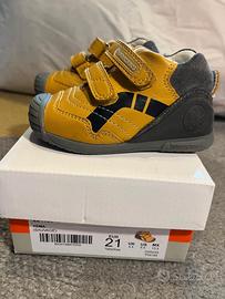 Sarpe Biomecanics numero 21