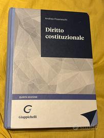 Diritto costituzionale Pisaneschi