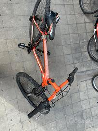 bicicletta ragazzino