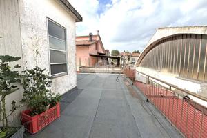 5 LOCALI A SAN MAURO PASCOLI