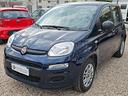 fiat-panda-1-2-easy