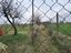 Immagine 11