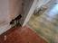 Immagine 11