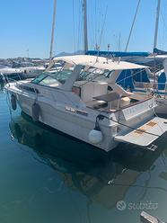 Barca Sea Ray 300 DIESEL Last Minute