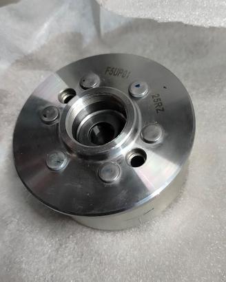 Volano Yamaha yz 250 - Fantic xx