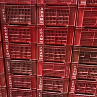 Cassette in plastica e compressore