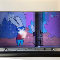 Smart TV Samsung QLED 55” pannello danneggiato