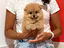 Immagine 1