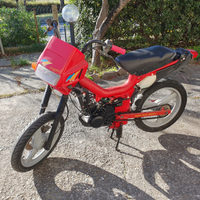 Malaguti fifty top polini