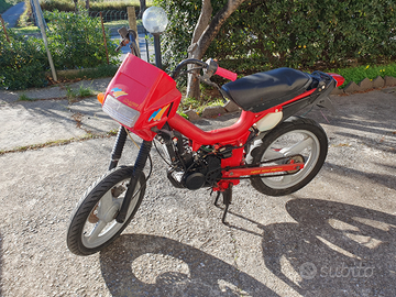 Malaguti fifty top polini