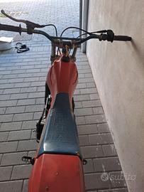 Beta 250