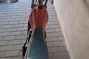 Beta 250