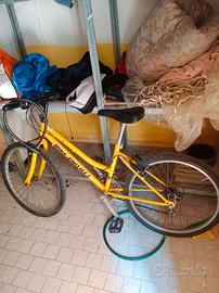 Bicicletta 