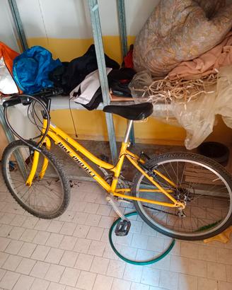 Bicicletta 