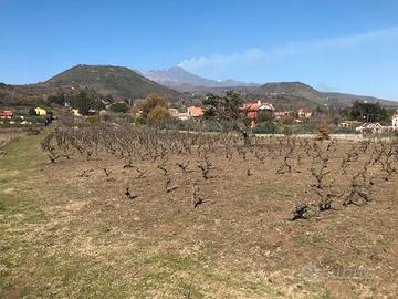 Viagrande terreno panoramico vigneto agrumeto