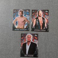 Carte WWE Topps 2005 - Flair, Dudley, Cold