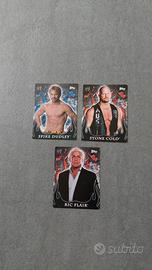 Carte WWE Topps 2005 - Flair, Dudley, Cold