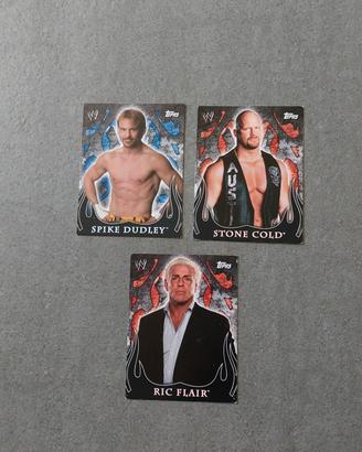 Carte WWE Topps 2005 - Flair, Dudley, Cold