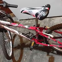 Bicicletta unisex 10 - 12 anni