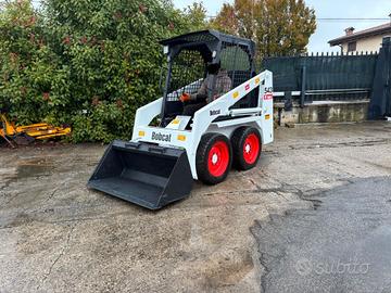 P195 - Minipala 18 q Bobcat 543